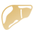 Fatty Liver Management